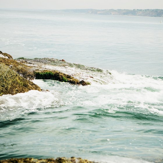 San Diego's shoreline ranges from sandy beaches to rocky reef formations.