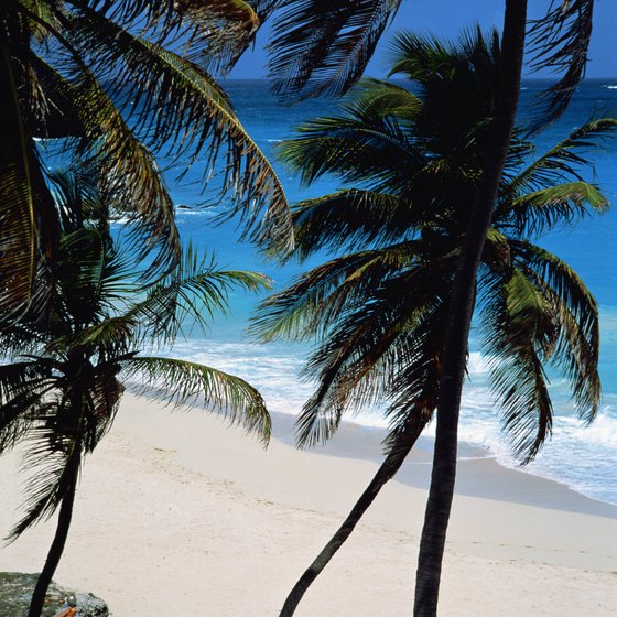 Barbados is a sovereign island in the Lesser Netherland Antilles.
