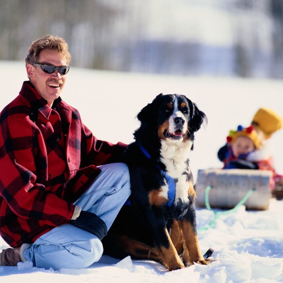 Ride a sled near Conifer, Colorado.