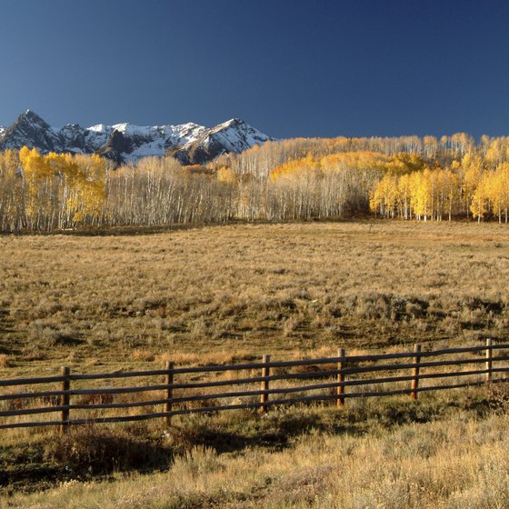 Camp in autumn when weather is dry and trees turn to gold in Telluride.