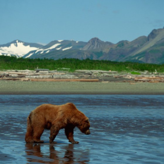 To many people, Alaska is one of the most beautiful places on Earth.