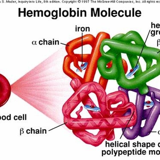 hemoglobin iron charge