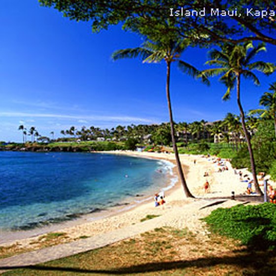 vacation homes in maui to rent