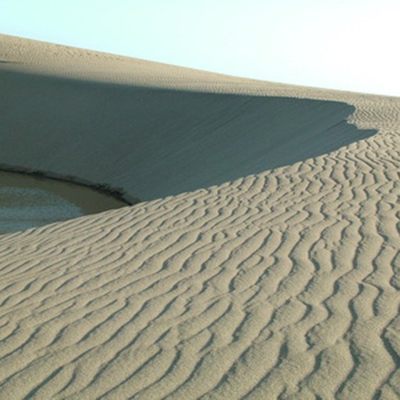 Campgrounds near Sheffield, Texas include the sand dunes at Monahans Sandhills State Park.