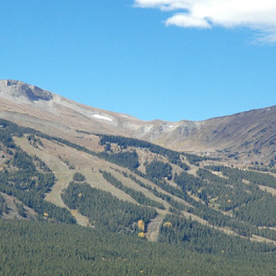 Ski runs dot the landscape on Vail Mountain.