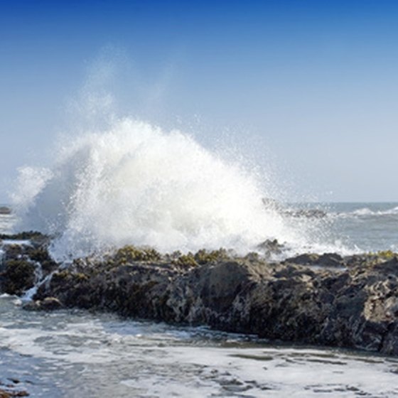 Come and camp along California's beautiful coastline.