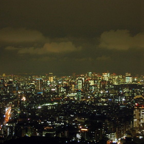 Tokyo is the largest city in Japan.