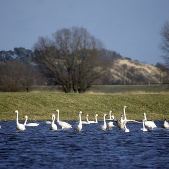 The Elbe RIver is host to sightseeing and romantic cruises.