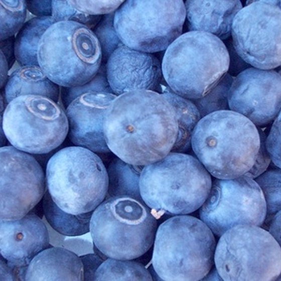Farm stands sell organic blueberries and alpaca wool.