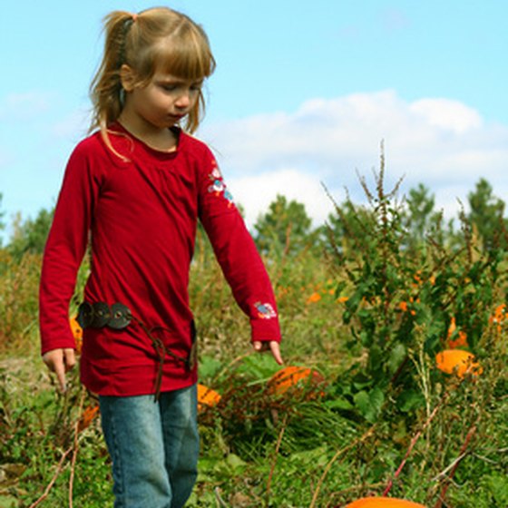 Kids can pick pumpkins at Libertyville area farms.