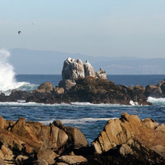 Rocky beaches are typical of the Oregon Pacific coastline.
