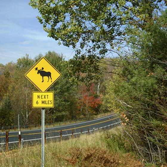 Horseback riding through the Adirondack Mountains is a favorite pastime.