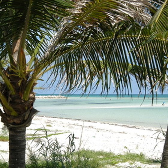 The white sand beaches of the Bahamas