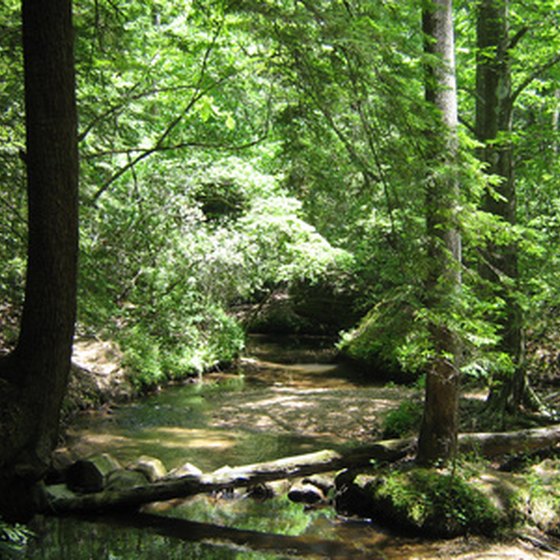 Nature is preserved in Alabama state parks to be explored.