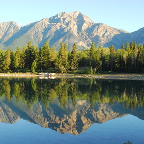 Bicycle tours offer a unique way to take in the majestic beauty of the Canadian Rockies.