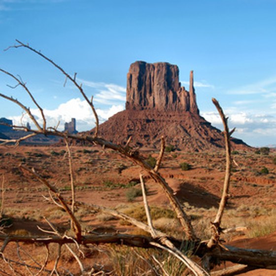 Outdoor enthusiasts flock to Mesa, Arizona for the wealth of things to do.