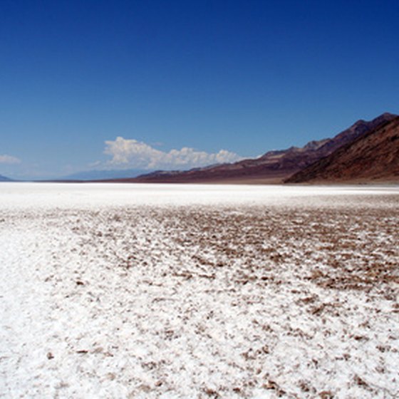 Ely, Nevada, is west of Utah's Great Salt Lake.