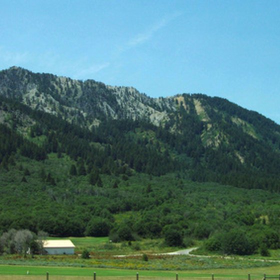 Scenery in Idaho