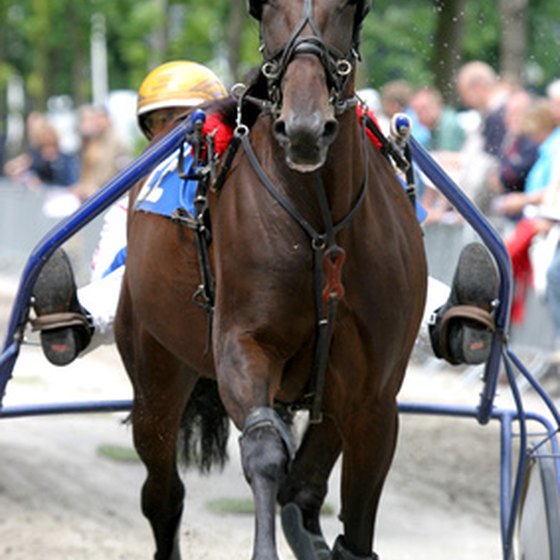 Dover Downs is known for harness horse racing.