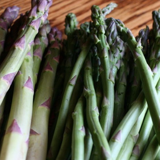 Enjoy RV camping in the "Asparagus Capital of the World."