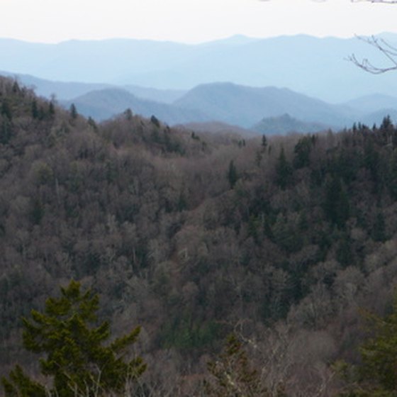 The Great Smoky Mountains offer different types of family vacations.