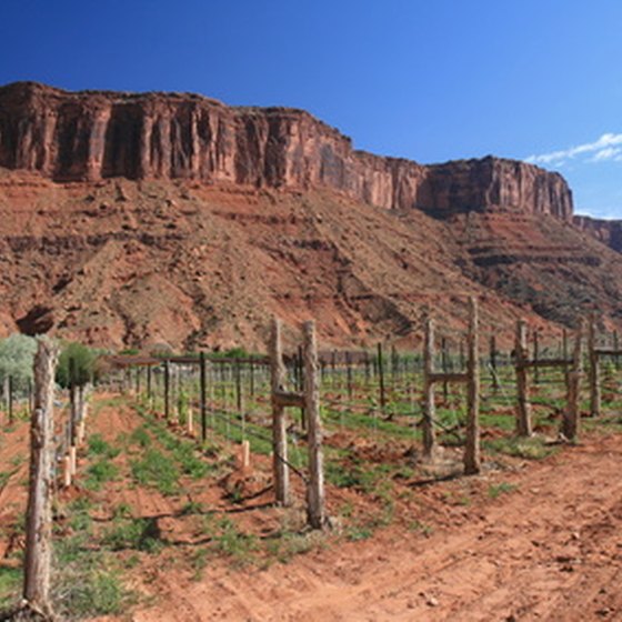 Red rock and blue sky—the colors of southwest Utah at St. George, Utah.