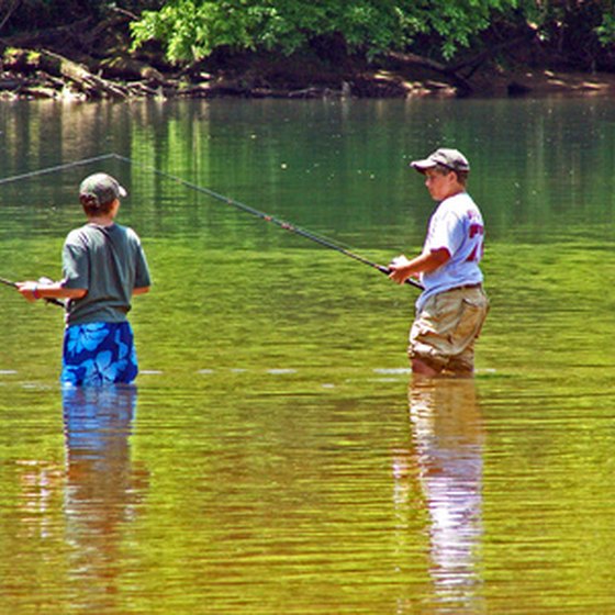 Fishing is a common activity for visitors to Lake Dardanelle.