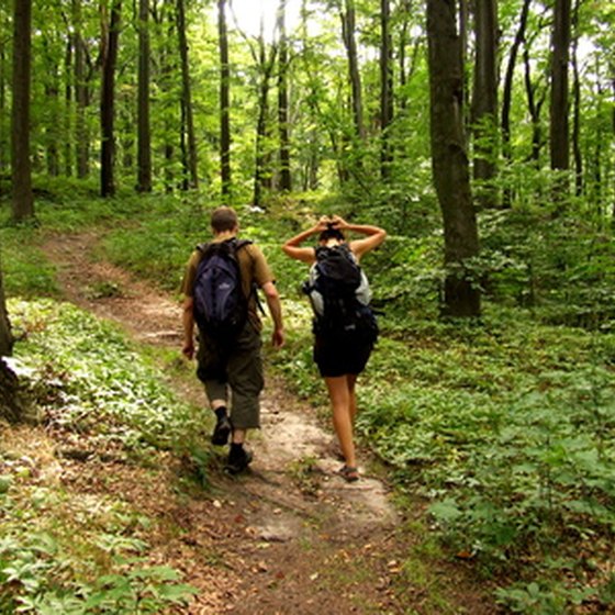 Hiking trails abound in the mountains around Helen, Georgia.