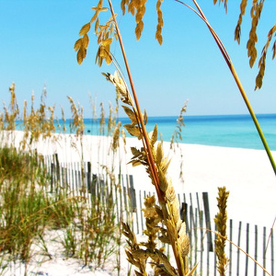 There are many things to do on North Carolina's beaches.