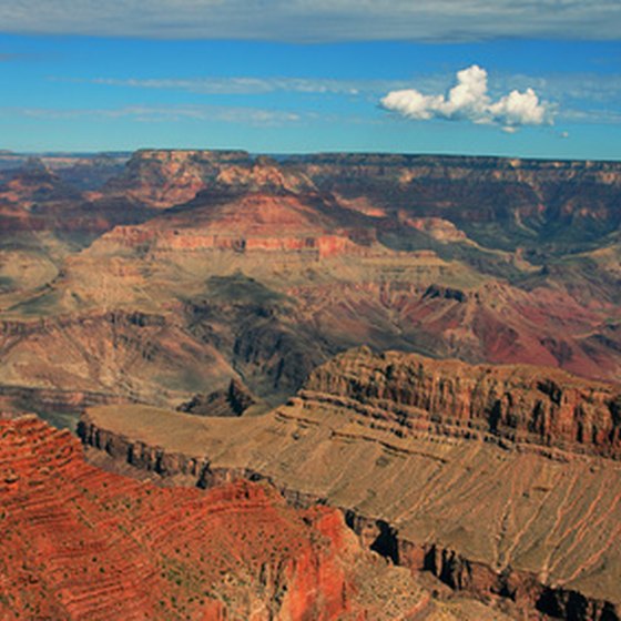 A large number of tour guides service the Grand Canyon.
