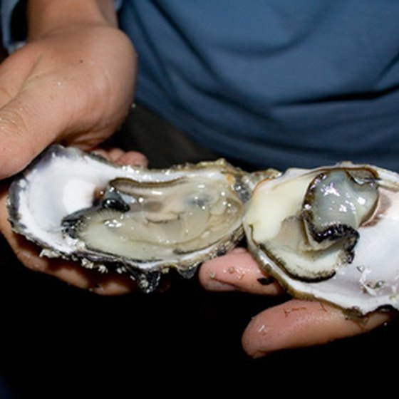 Some oyster bars in Oregon offer raw oysters.