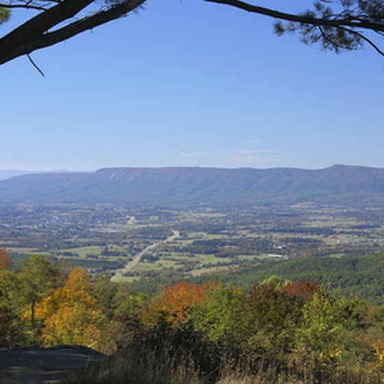 Asheville is located in North Carolina's Blue Ridge Mountains region.