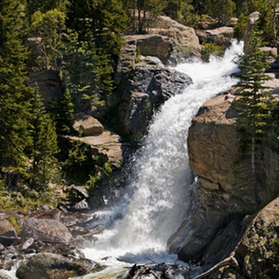 Alberta Falls draws numerous hikers visiting Rocky Mountain National Park.