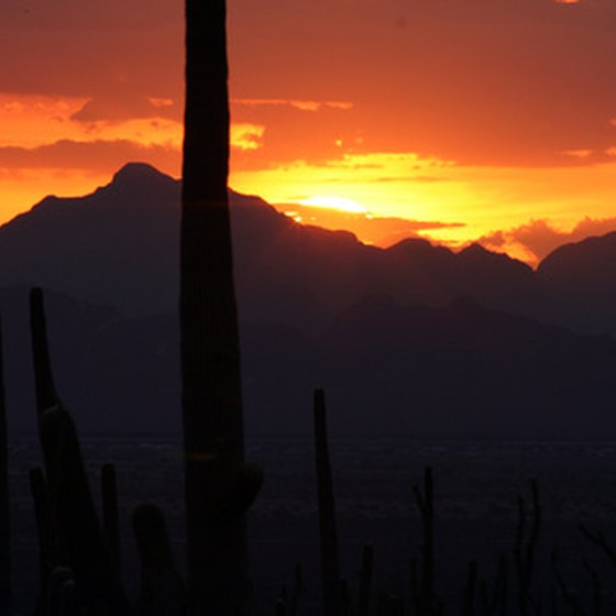 Enjoy colorful desert sunsets in Phoenix, Arizona