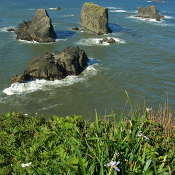 Breathtaking views of the Pacific is one of the attractions of RV parks in Garibaldi, Oregon.