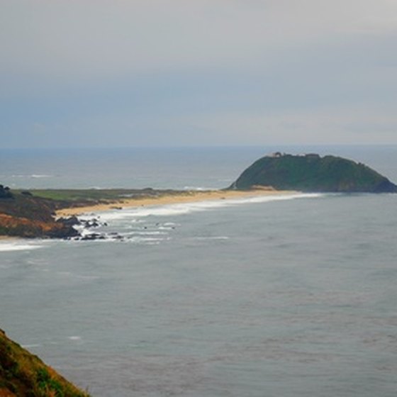 Point Reyes State Park sits on the Pacific coast.