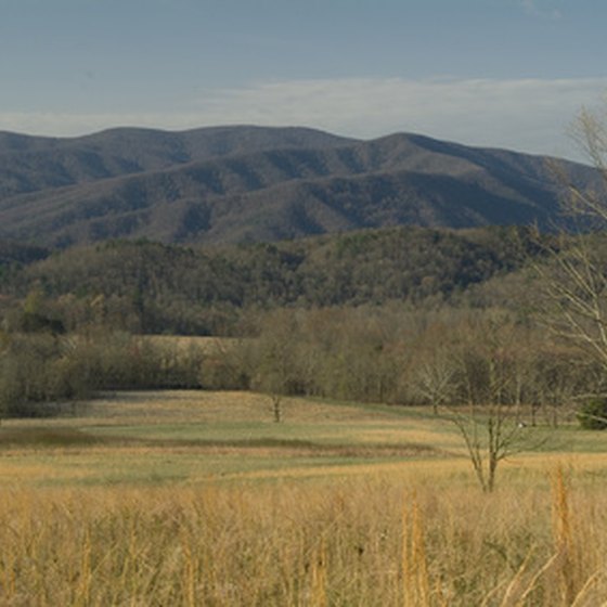 Train tours provide scenic vistas of the Smoky Mountains.