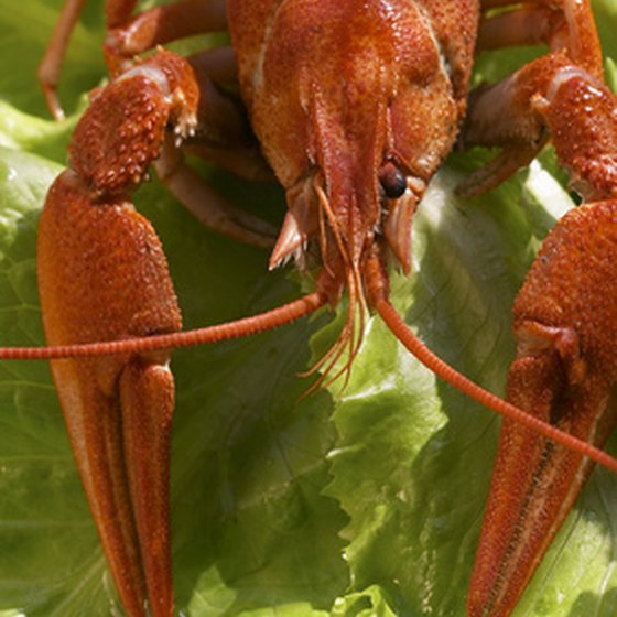 Cajun crawfish is a common snack for the folks in Lafayette, Louisiana.