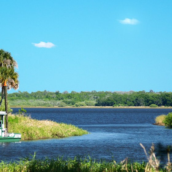 Myakka State Park is close to Encore RV parks on the Gulf Coast.