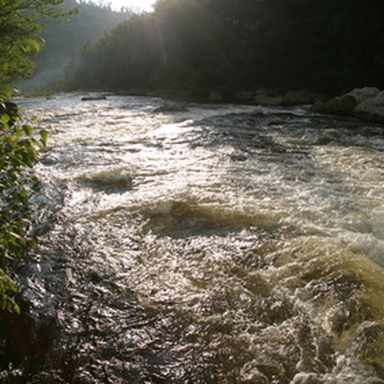 A rushing mountain stream