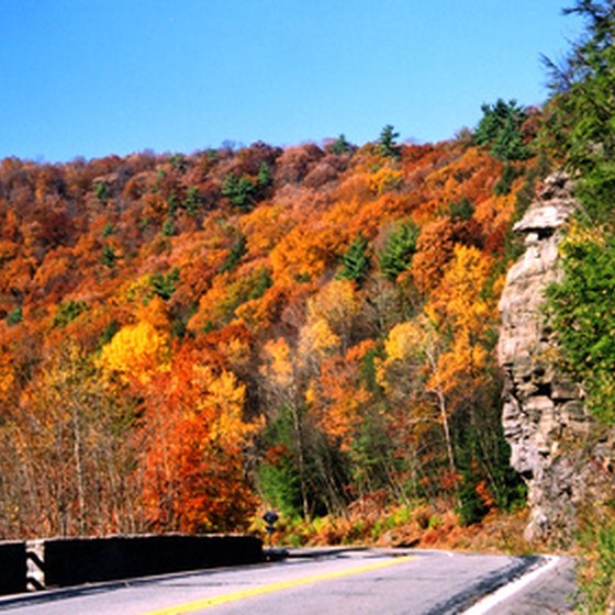 The fall leaves provide a scenic view along the Cayuga Scenic Byway.