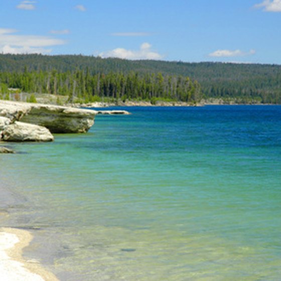 Yellowstone Lake's clear blue waters