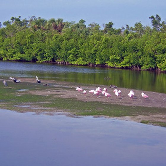 Sanibel Island is full of tropical wildlife and relaxing beaches.