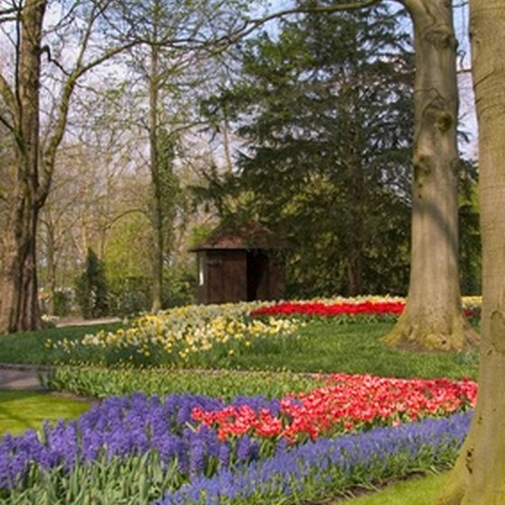 Keukenhof Gardens are in south Holland's \"dune and blub\" area.