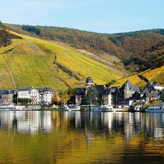 A small village and vineyard in Germany