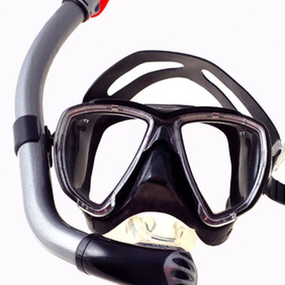 Professional-grade snorkeling gear ensures a comfortable fit and enhanced safety features.
