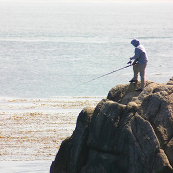 Monterey features a rocky coastline that is popular for fishing.