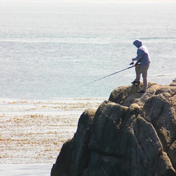 Campgrounds in the Monterey area are mostly in the Big Sur area.