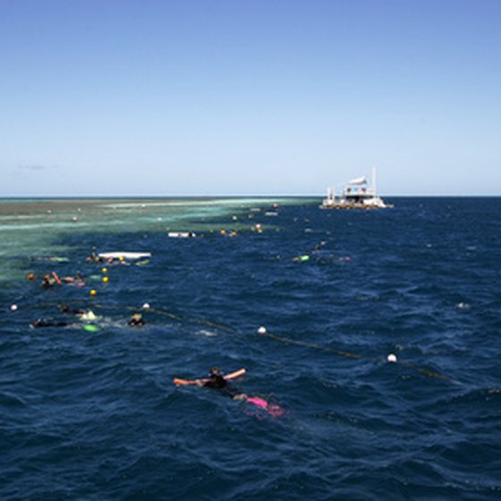 Clearwater offers a variety of snorkeling opportunities.
