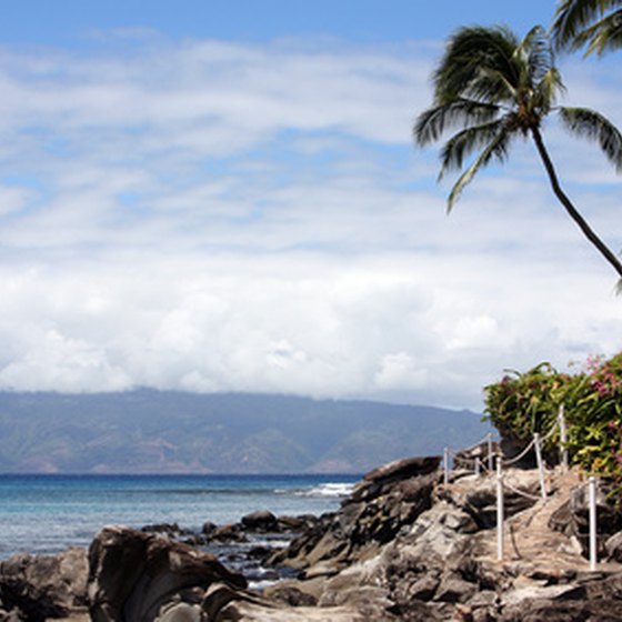 Day cruises in Hawaii offer coastline sights like this.